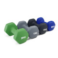 Sporting Equipment 9kg Dumbbell for Home Fitness